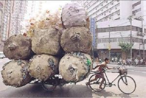 bicycle-carry-huge-weight