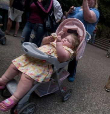Really-Obese-Kid-In-Stroller